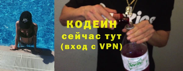шишки Гусь-Хрустальный