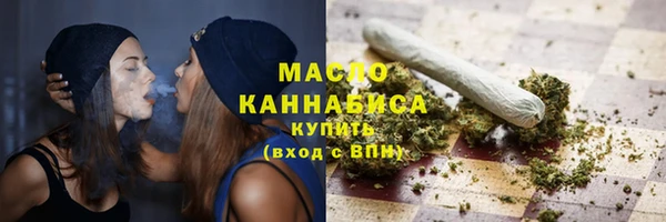 шишки Гусь-Хрустальный