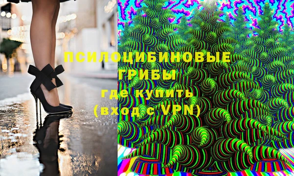 крисы Дмитров