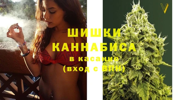 не бодяженный Гусиноозёрск