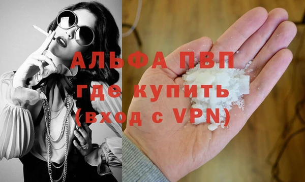 шишки Гусь-Хрустальный