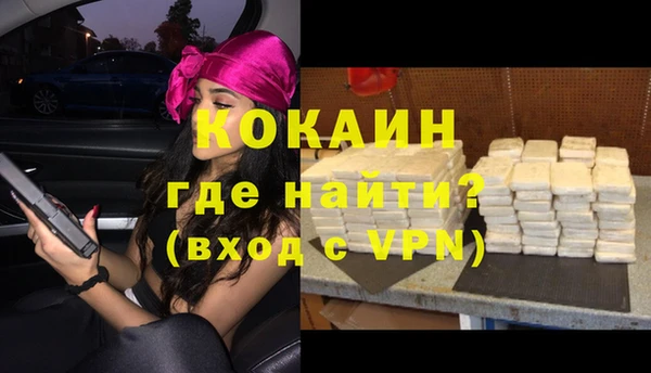 шишки Гусь-Хрустальный